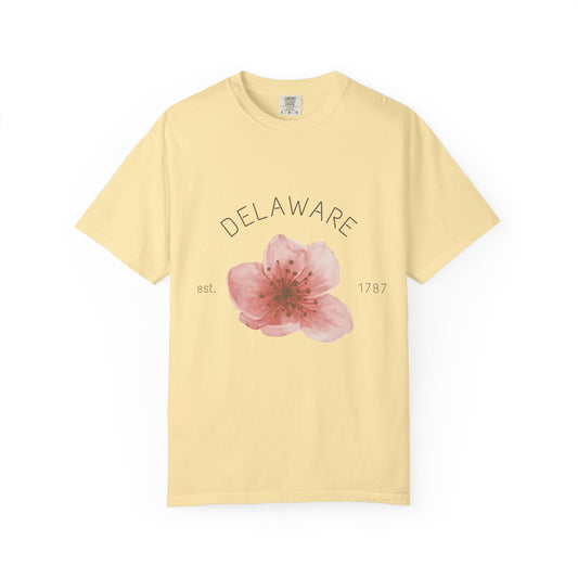 Delaware
