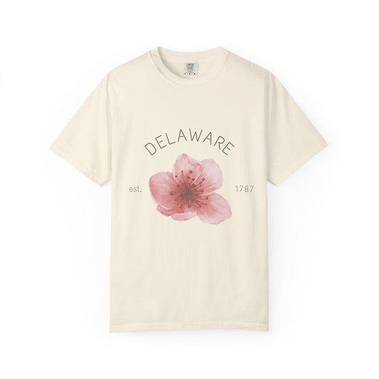 Delaware